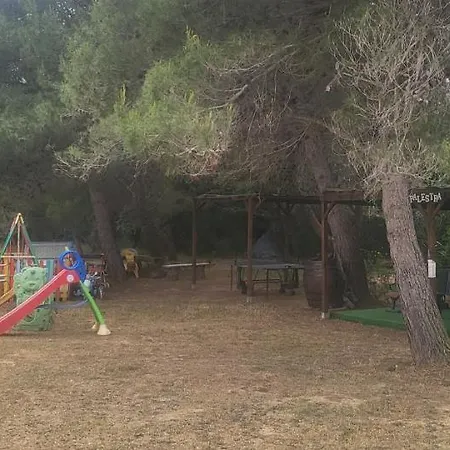 Il Boschetto Tulipano San Donato (Tuscany)